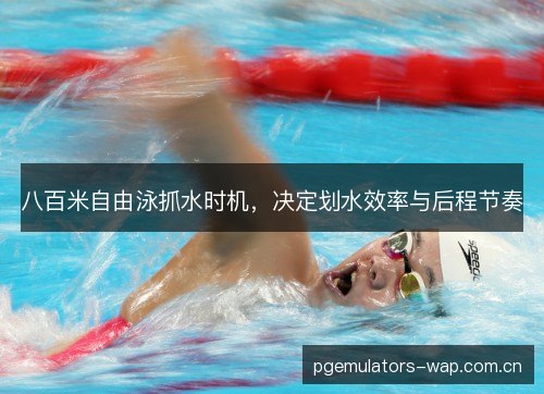 八百米自由泳抓水时机，决定划水效率与后程节奏